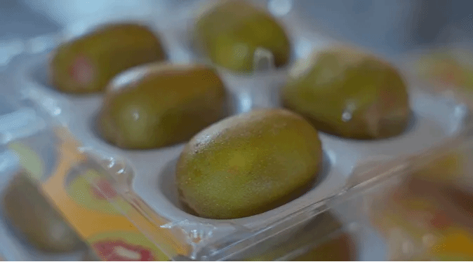 Z6·尊龙凯时(中国区)人生就是搏!