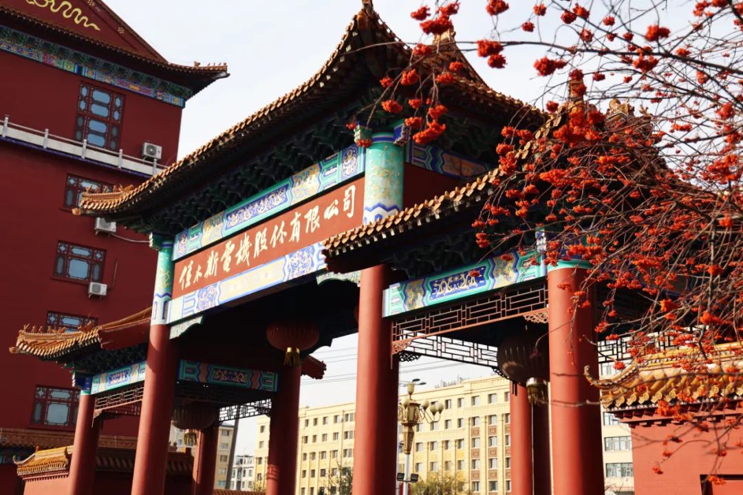 Z6·尊龙凯时(中国区)人生就是搏!