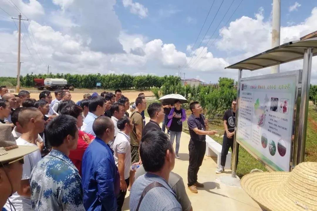 Z6·尊龙凯时(中国区)人生就是搏!