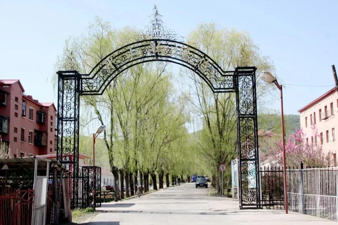 Z6·尊龙凯时(中国区)人生就是搏!